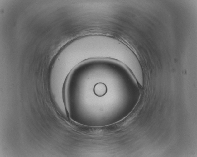 X0000071840301200607211834