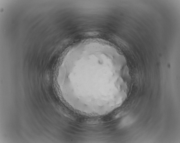 X0000071840373200607211833
