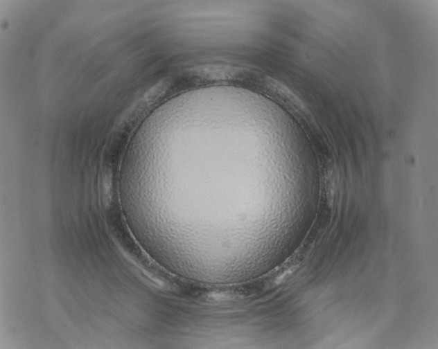X0000071840406200607211832