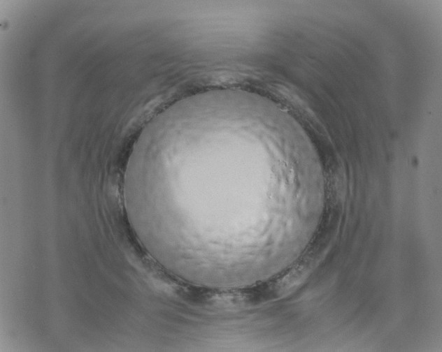 X0000071840415200607211832