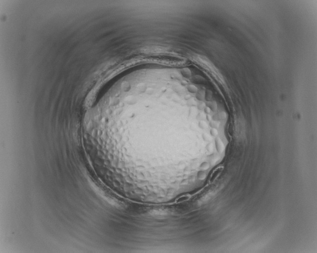 X0000071840441200607211831