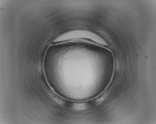 X0000071840457200607211831