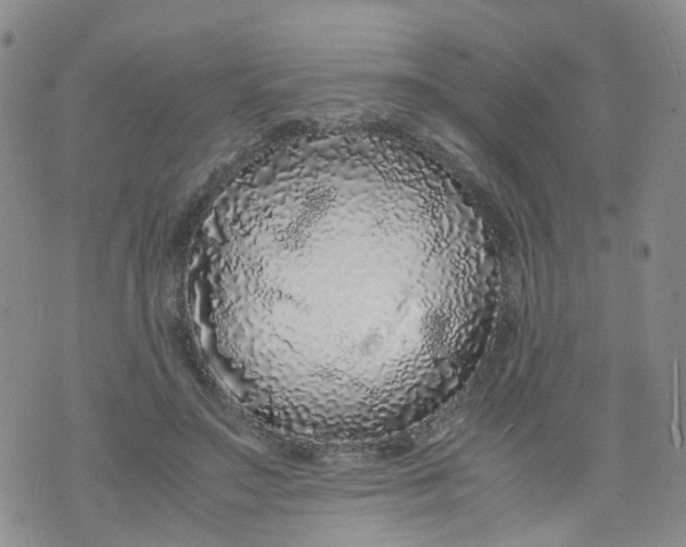 X0000071840499200607211831
