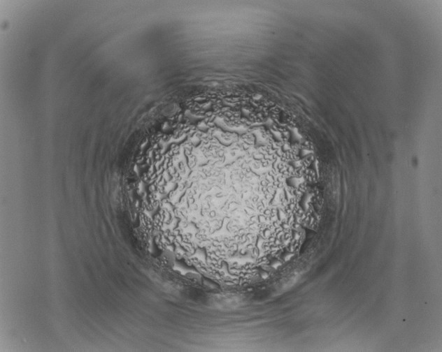 X0000071840511200607211831