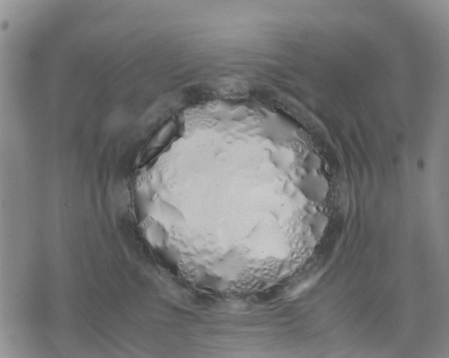 X0000071840523200607211830