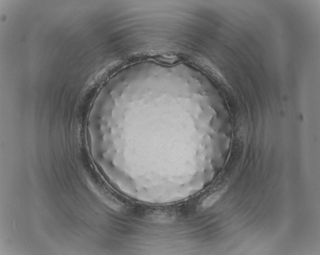 X0000071840542200607211830