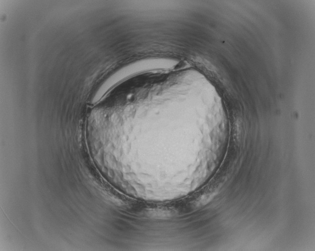 X0000071840545200607211830
