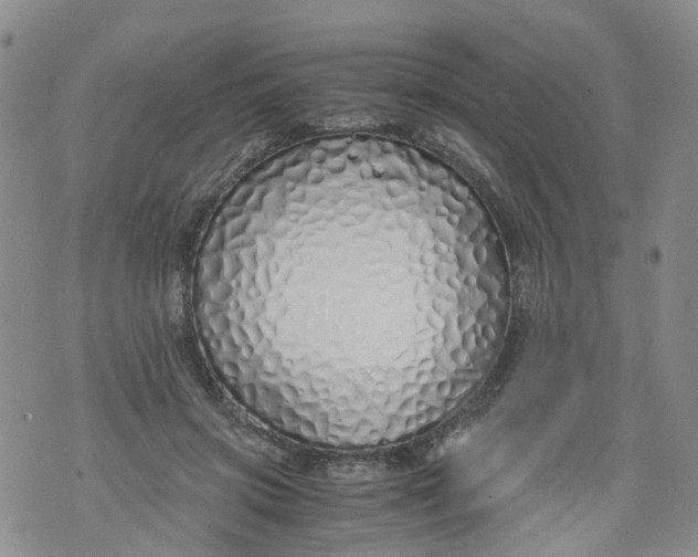 X0000071840549200607211830
