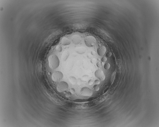 X0000071840550200607211830