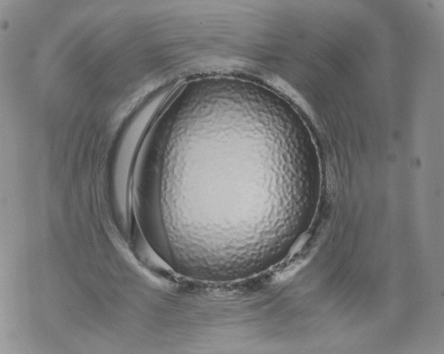 X0000071840581200607211829