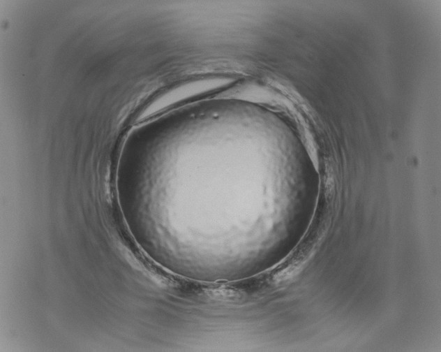 X0000071840585200607211829