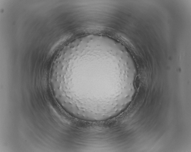 X0000071840586200607211829