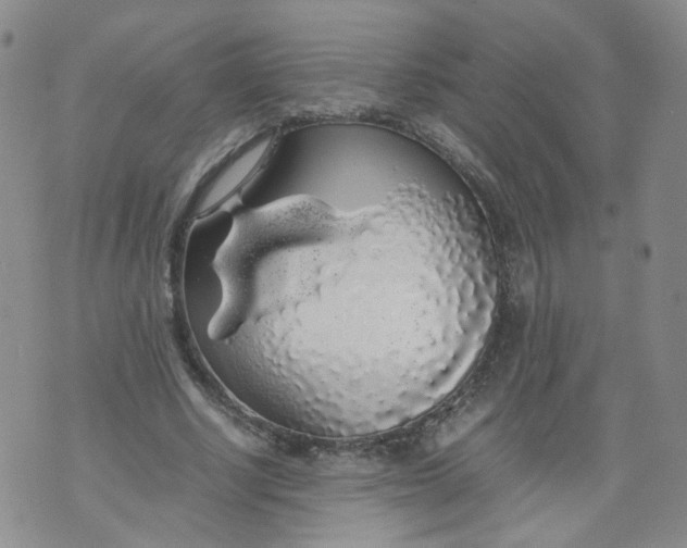X0000071840634200607211828