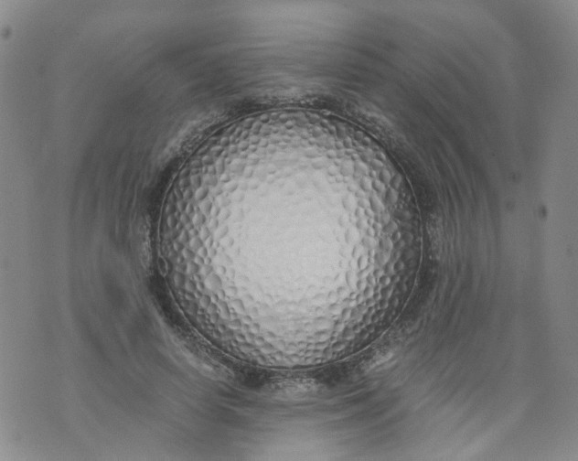 X0000071840642200607211828
