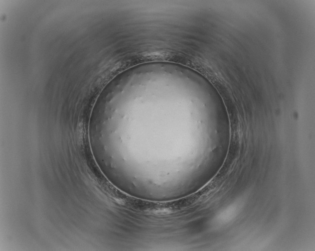 X0000071840647200607211828
