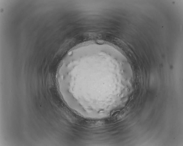 X0000071840667200607211829