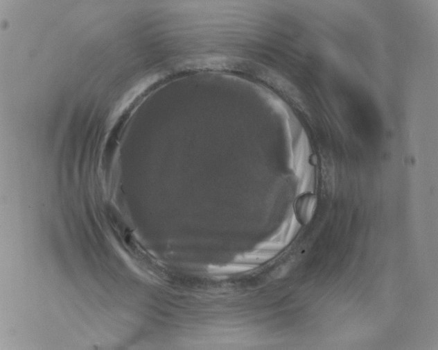X0000071840674200607211828