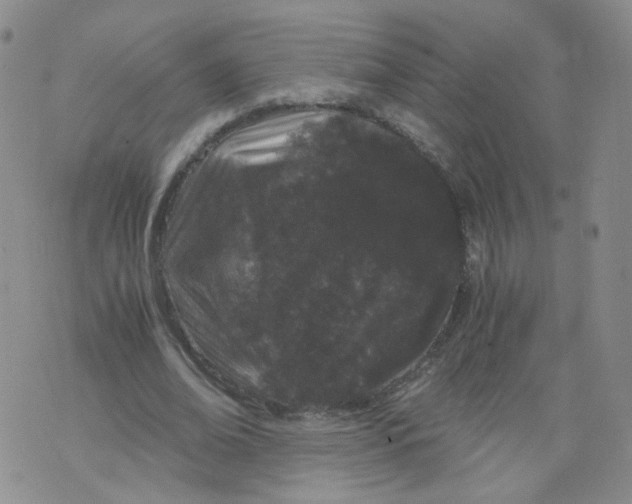 X0000071840678200607211828