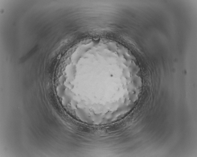 X0000071840687200607211828