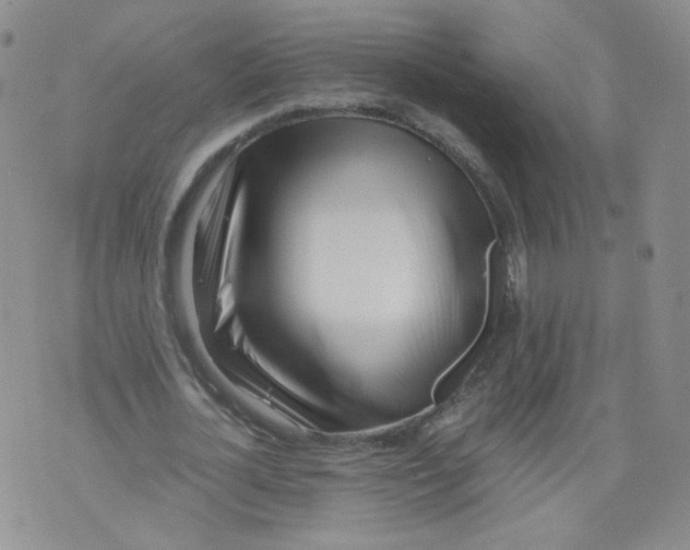 X0000071840724200607211826