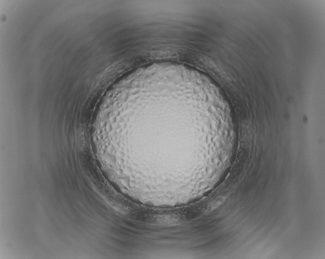 X0000071840741200607211827