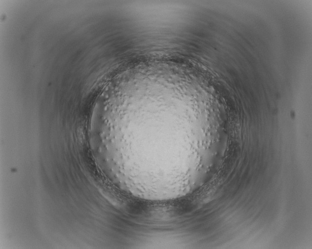 X0000071840746200607211827