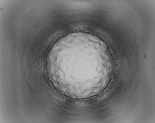 X0000071840753200607211827