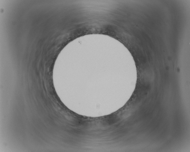 X0000071840769200607211826
