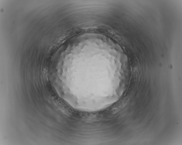 X0000071840772200607211826