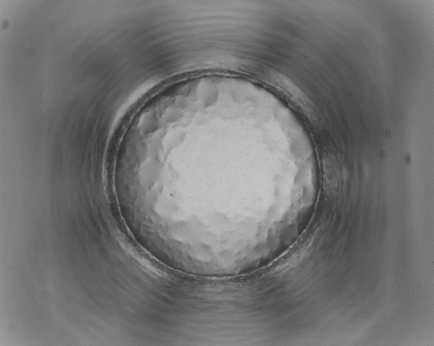 X0000071840780200607211826