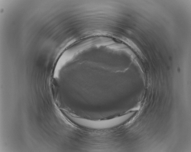 X0000071840806200607211826