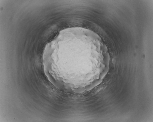 X0000071840819200607211825
