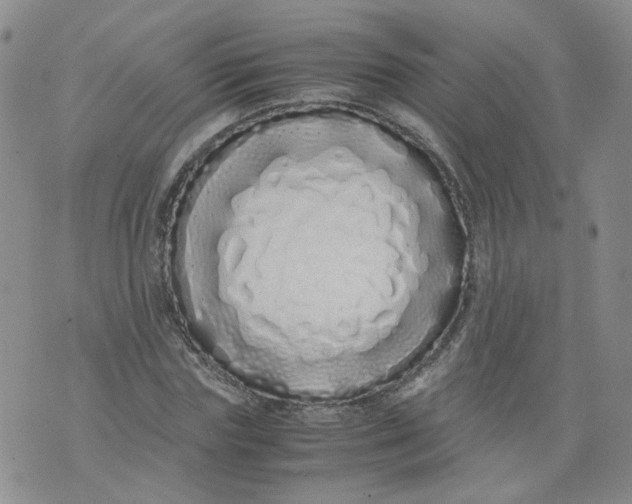 X0000071840827200607211825