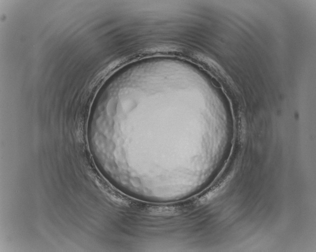 X0000071840833200607211825