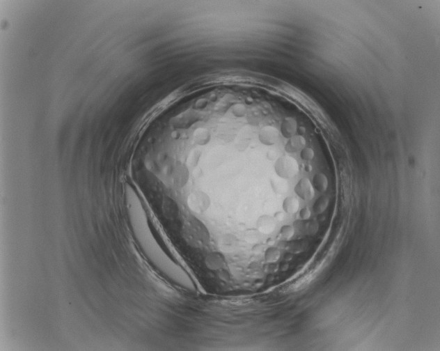 X0000071840857200607211826