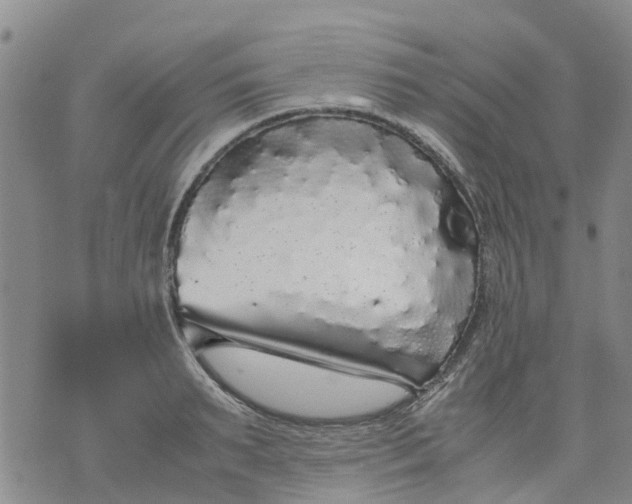 X0000071840895200607211824