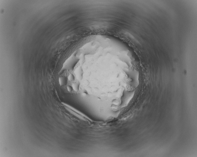 X0000071840917200607211823