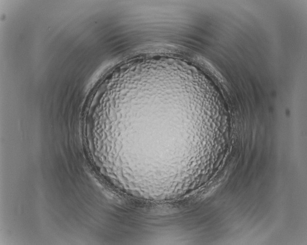 X0000071840986200607211823