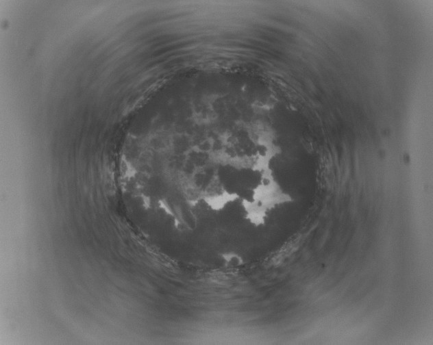 X0000071841013200607211822