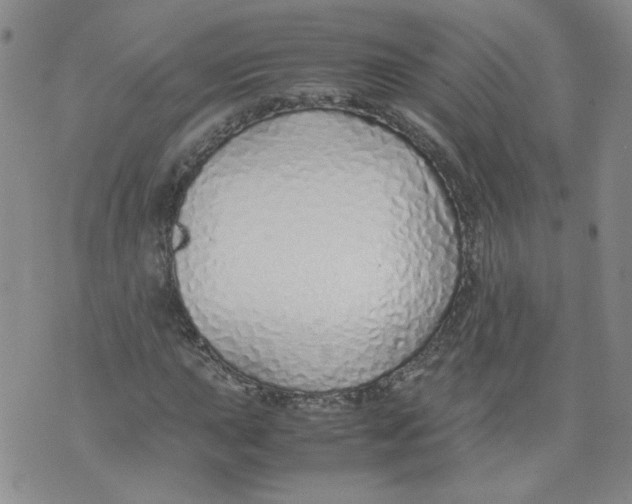 X0000071841015200607211822