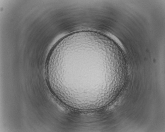 X0000071841051200607211822