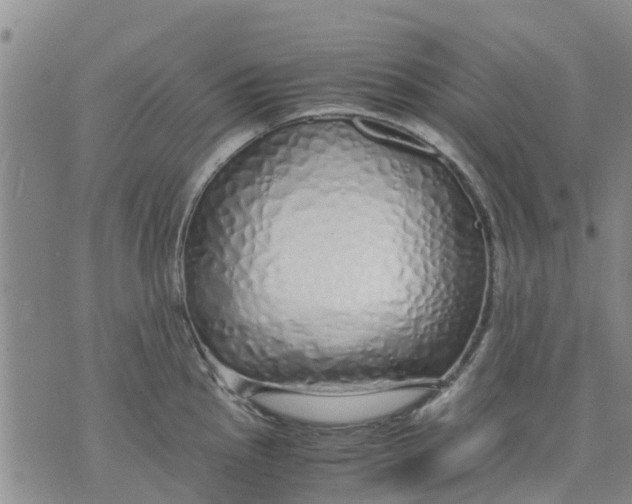 X0000071841145200607211821