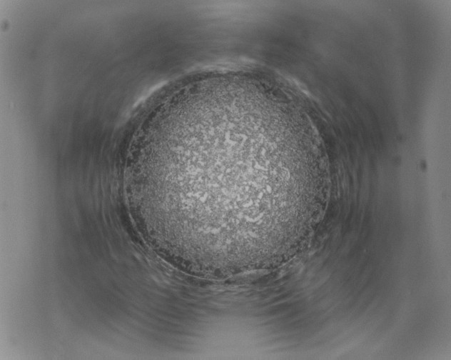 X0000071841158200607211820