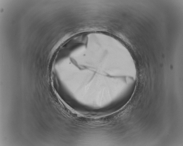 X0000071841173200607211820