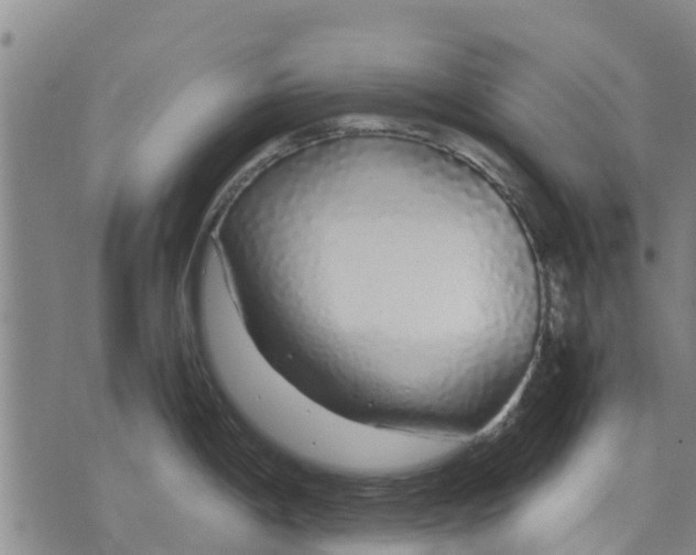 X0000071841198200607211819