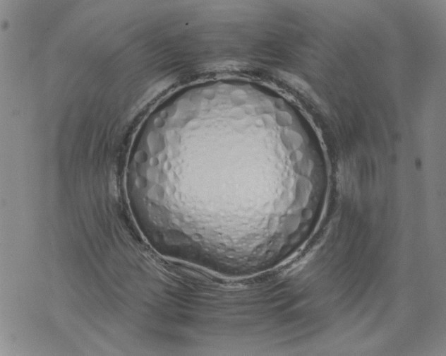 X0000071841209200607211819