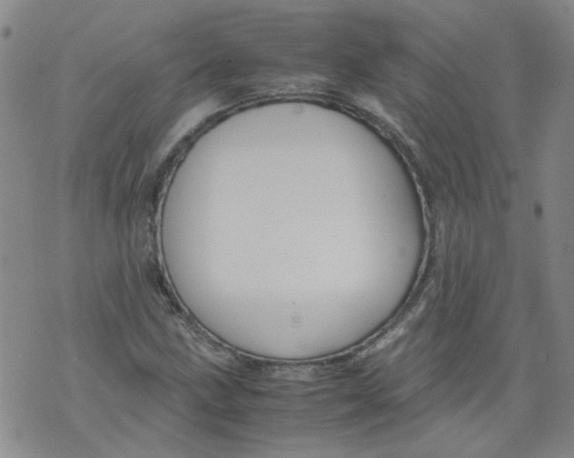 X0000071841211200607211819