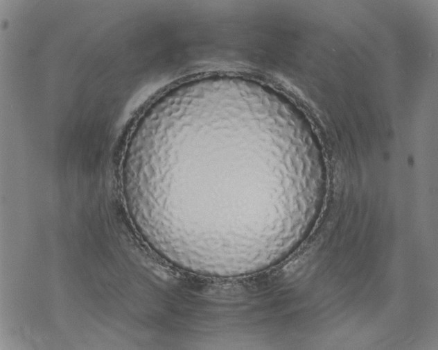 X0000071841215200607211819