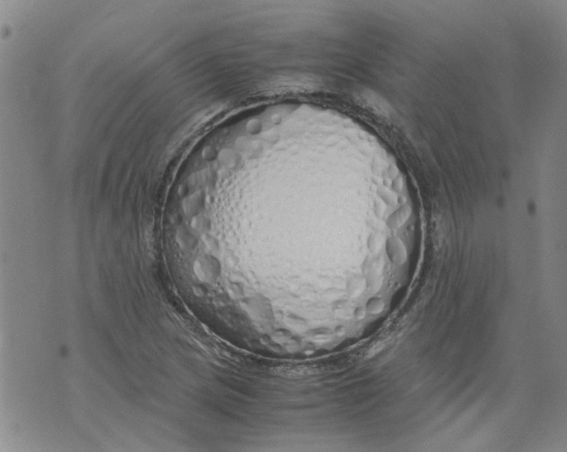 X0000071841217200607211819