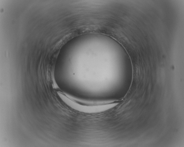 X0000071841250200607211818